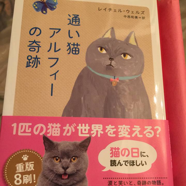 38dbe677 8602 4dd2 8fab 737b46bebb6b