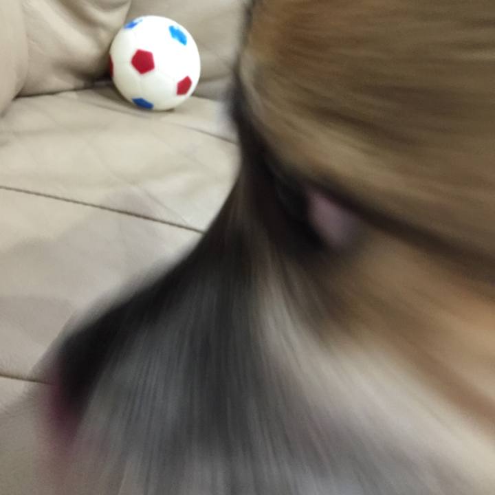 38dcab86 baec 497c 99ae 9e430ce5664f