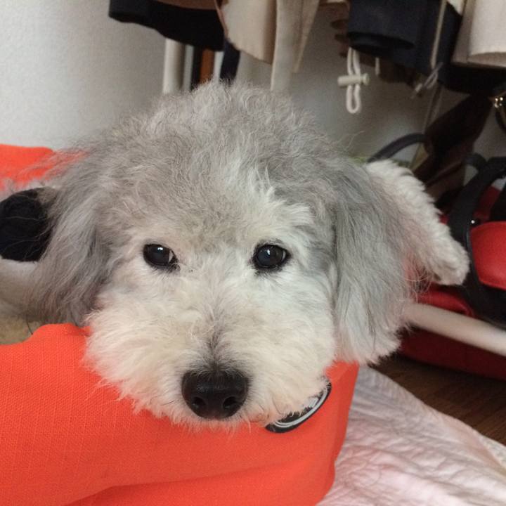 38dcb1aa 4dcb 4c16 9cf0 1fa6e65ff2d3