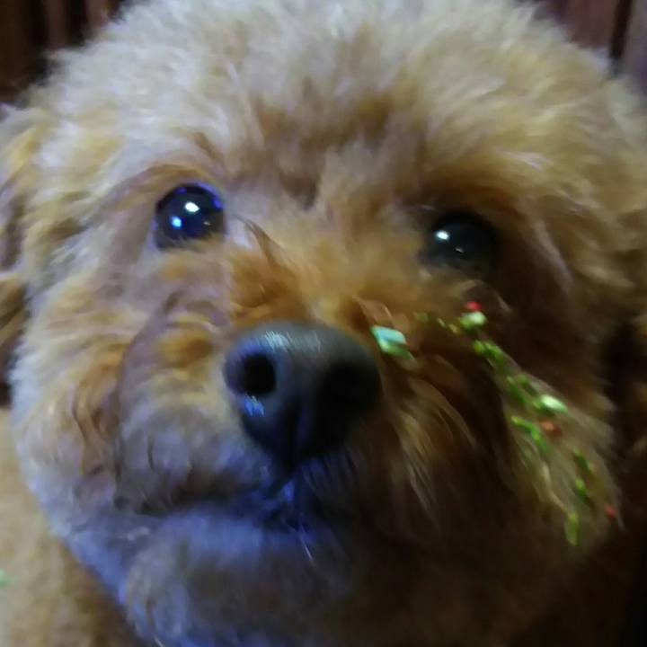 38dcf426 31cd 4e0d 8b6c d2b08d1ac1fa