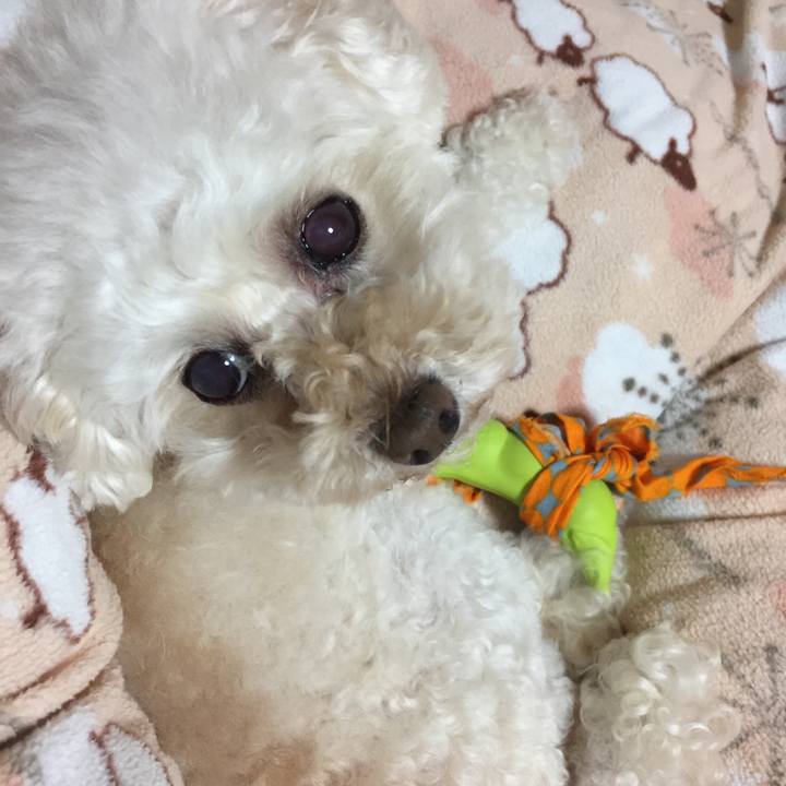 38dd2db6 fe5d 482b 887f 552ae827cfc4