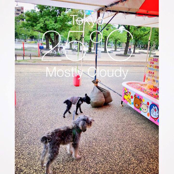 38dd4ee4 77dc 4aaa bf39 78398b427dba