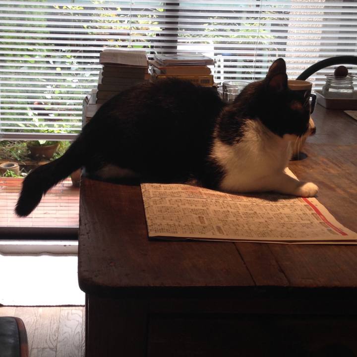 38dda7f9 b1d8 4e59 b83d f3e3f81745c1