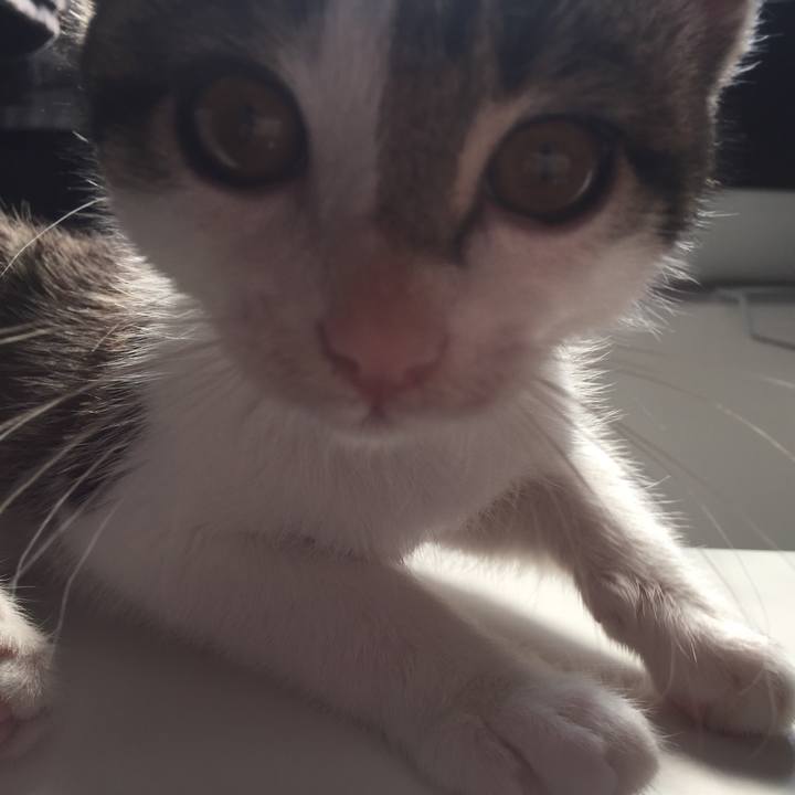 38de2e9c 1382 4e14 9437 3d7e74382974