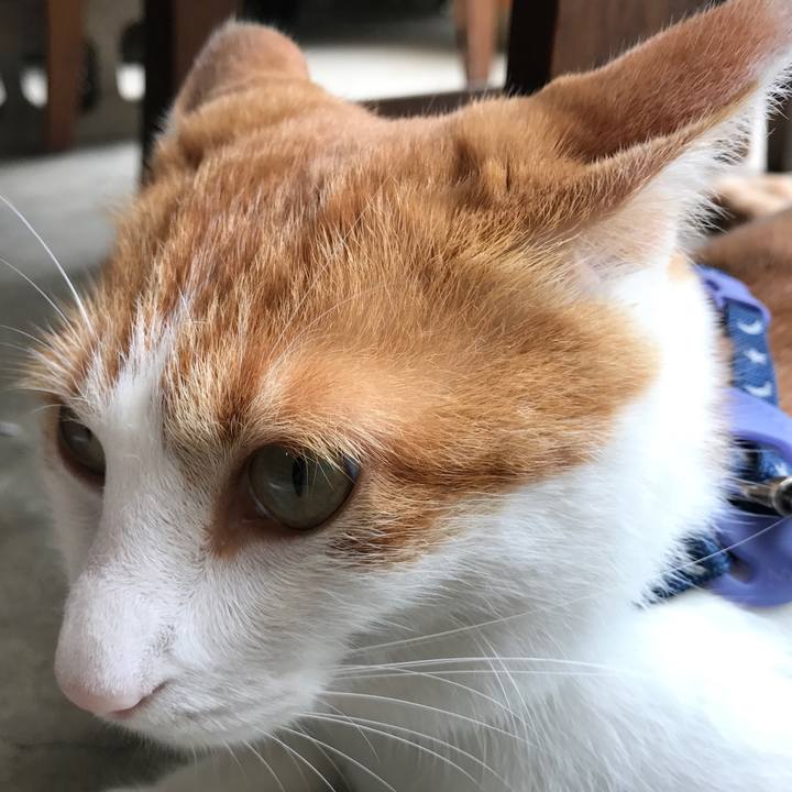 38de4b89 7c8f 4806 b090 24b4b3d9a023