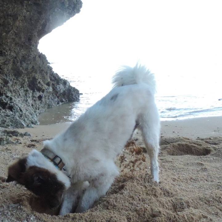 38de881a d788 4e91 8bbd 545fe2cba851