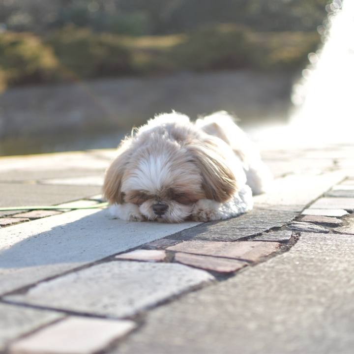 38df8643 4bb2 4625 98ac 14b924106de3