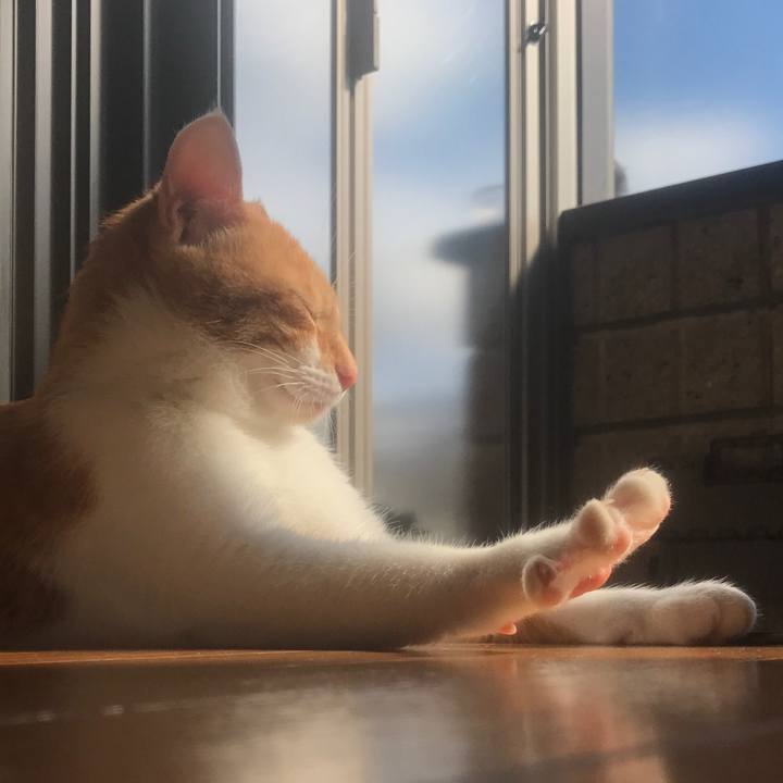 38dfb9a4 ecc2 41de bbe7 e88711edaa6f