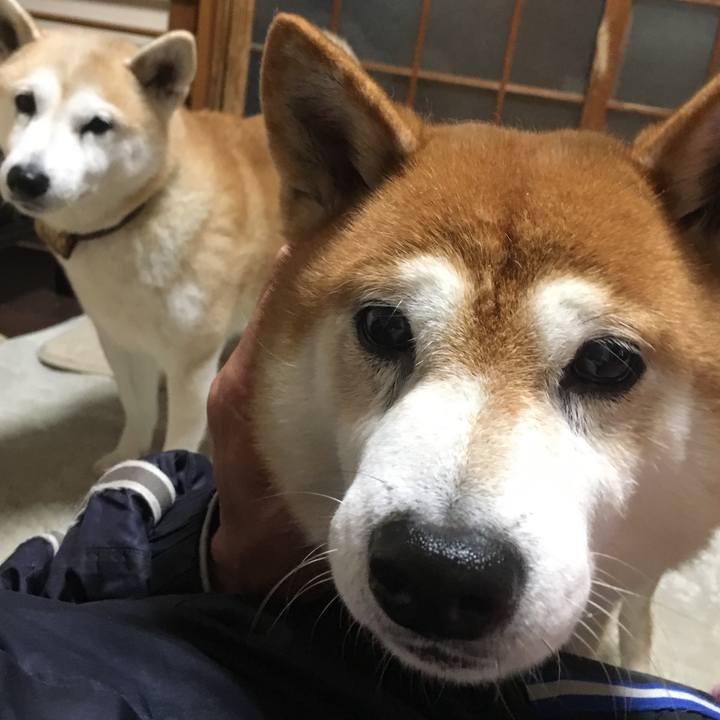 38e04e01 74b6 4a1f b7fe 2206ef5350f8