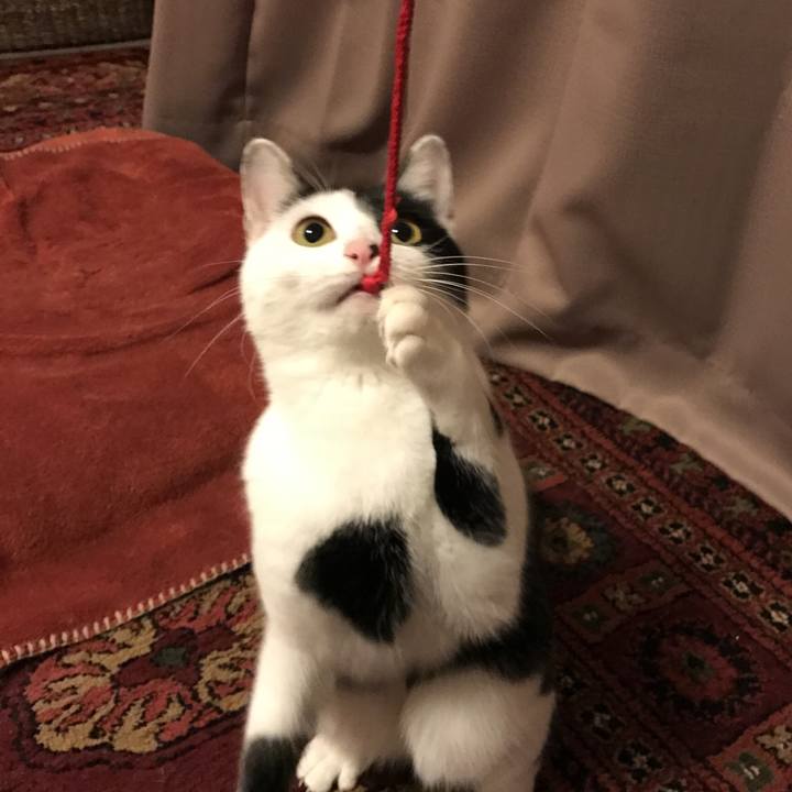 38e2c6bc 04f3 49bc a0da e425d93a8f18