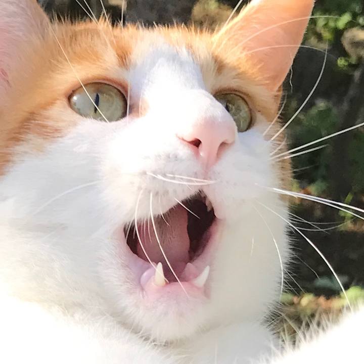 38e2df3a 7a26 40db 8a73 8333f668aec5