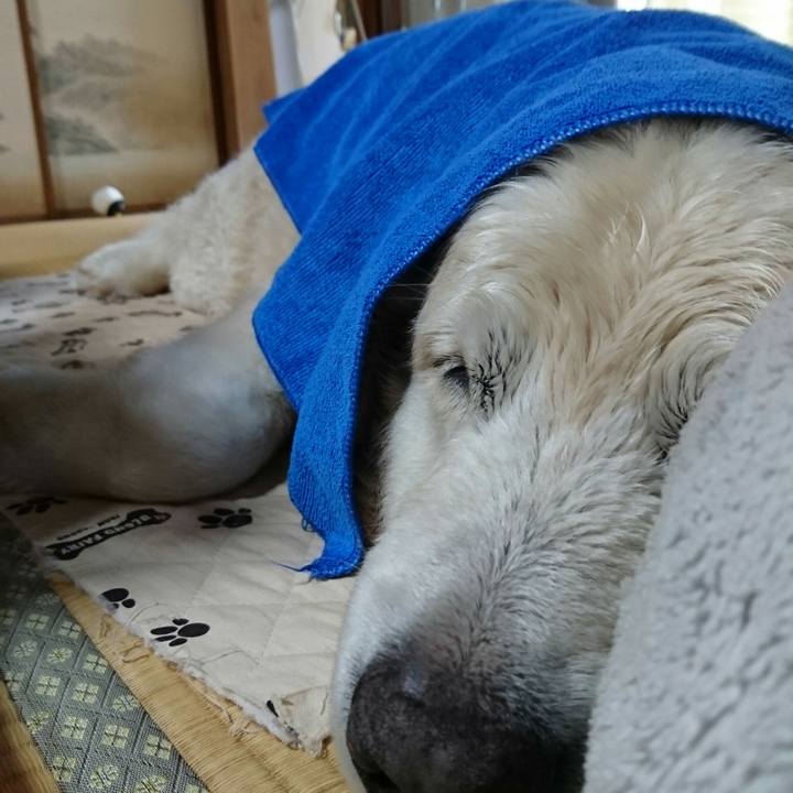 38e44e0a 1968 47a2 a0ad 62951f5ffe20