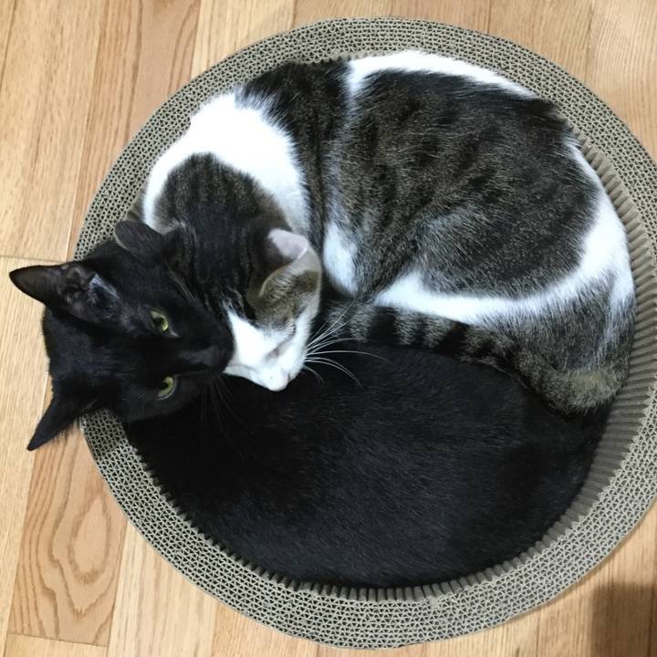 38e485f3 c285 4166 bea6 1301e8290892