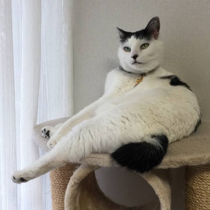 38e58cae fc5e 4c65 b311 bc3990ef20bf