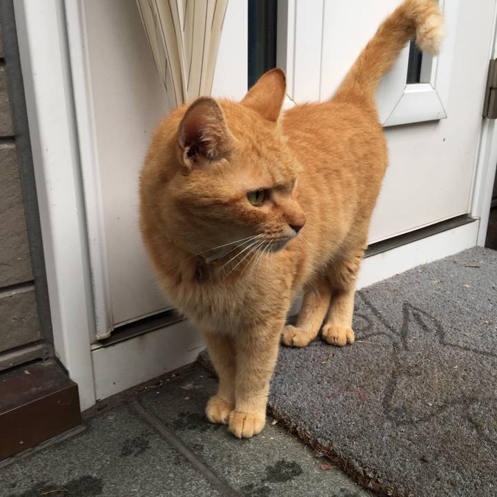 38e658ad bcb0 438e b71d b69e660a42af