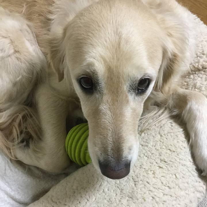 38e6f1cf b4ac 4f35 8212 c1d5e9bd3c76