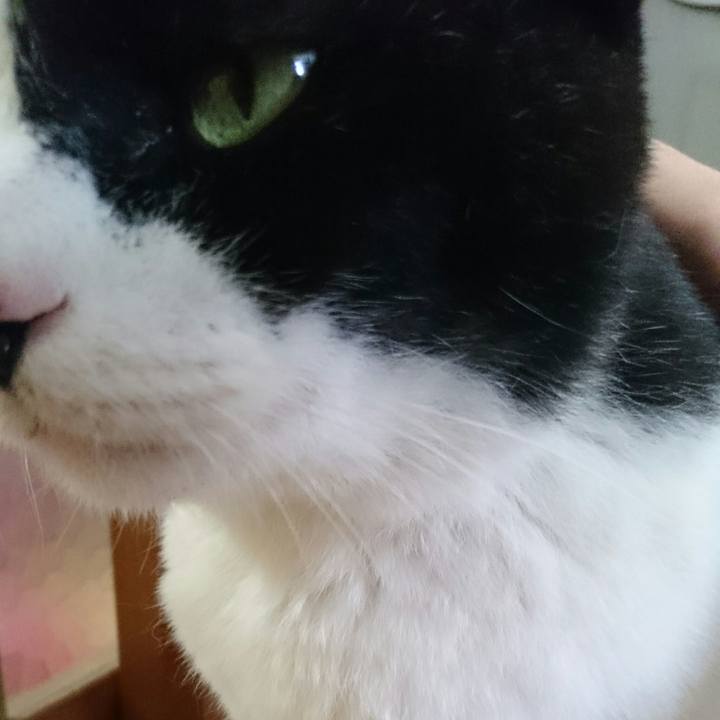 38e85a4f 2b88 4954 b0b9 c588edc82501