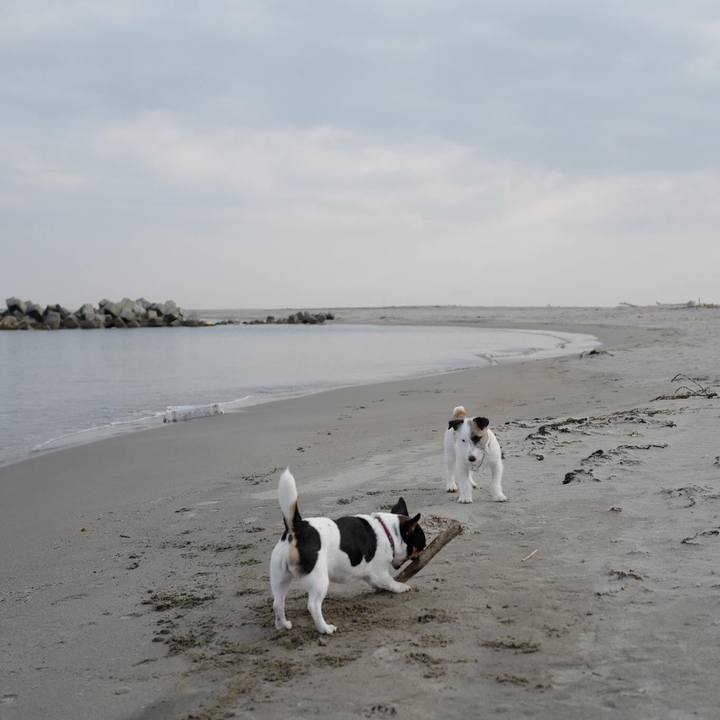 38e93071 2bf5 402e b660 f2b7fb40aeac