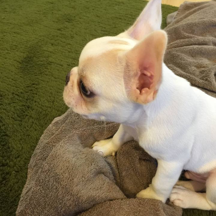 38e96d73 fb9a 4883 909d 7d7fc79d32da