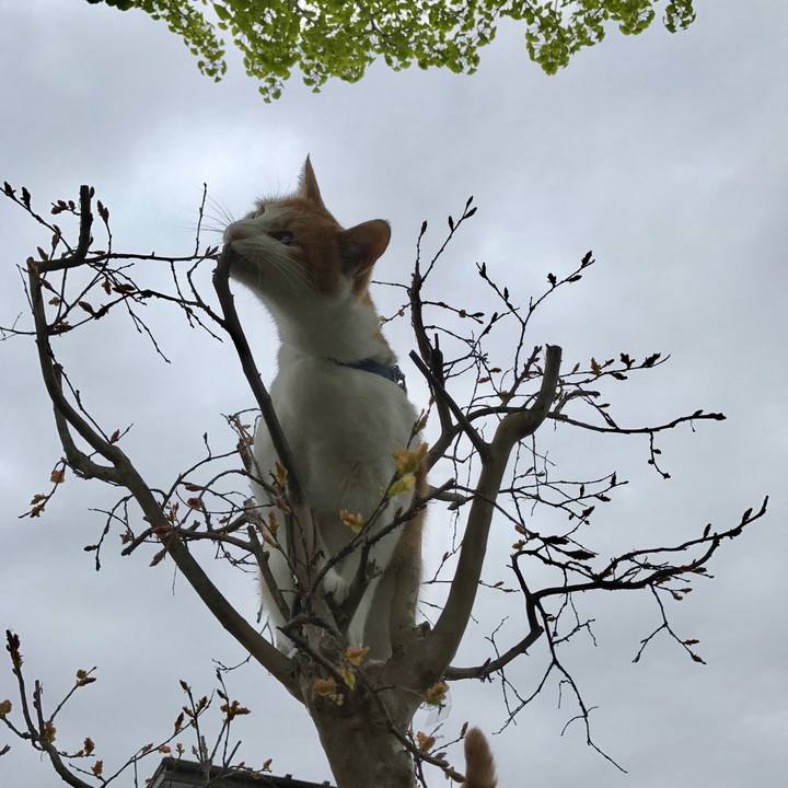 38eae901 ec4d 46e8 9913 4062a712f17f