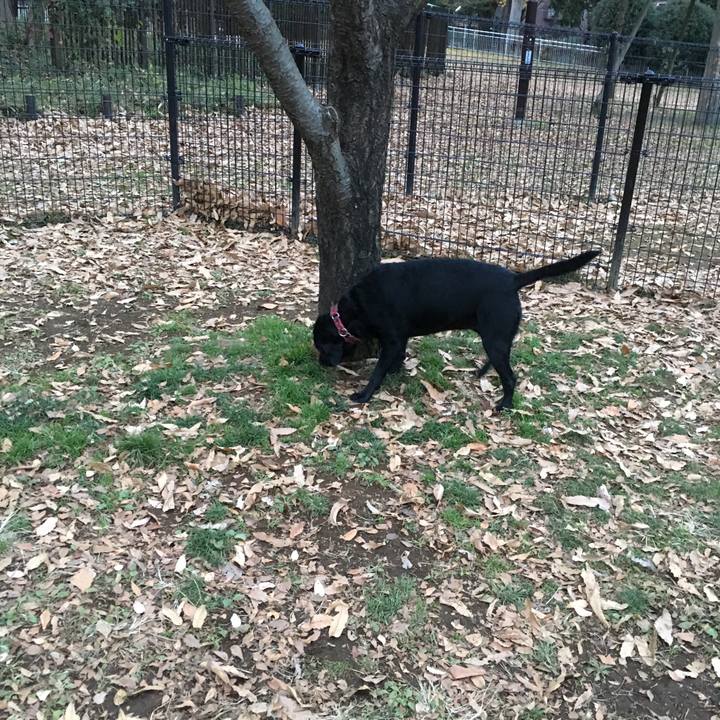 38eb2724 bf68 4f39 acc1 4c19d3d0d78d