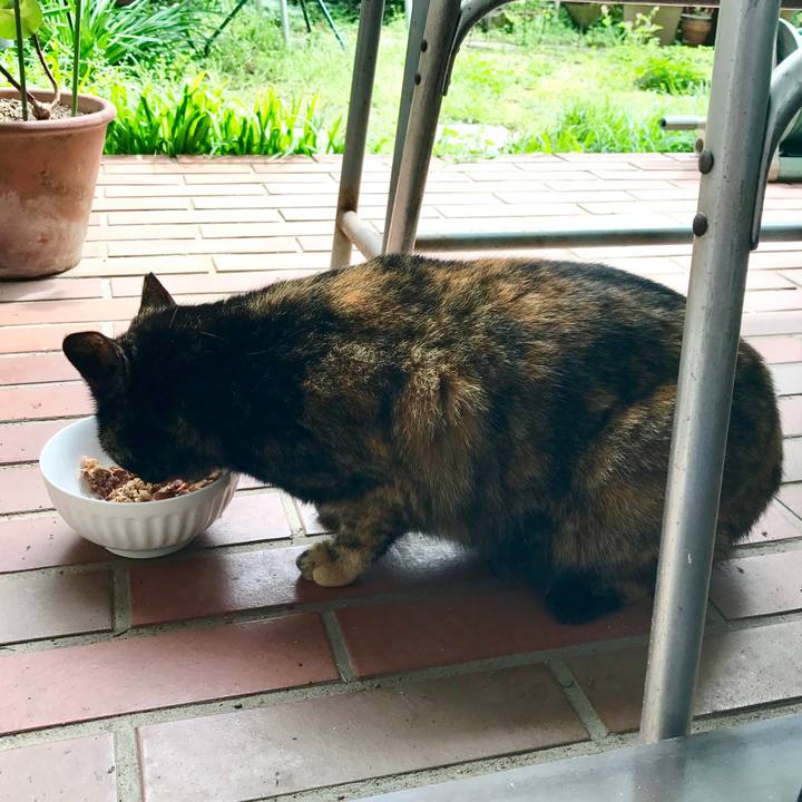 38eb9fd3 bb5b 47c5 80d7 2bdb9f140375