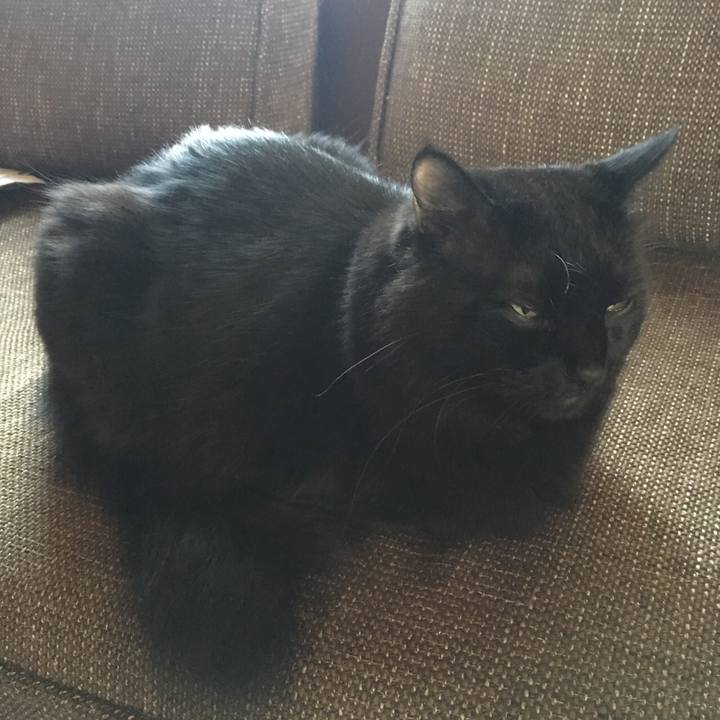 38ec81b5 693c 4f54 8f6e 6a04859930fa