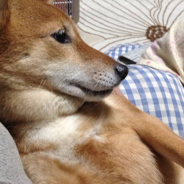 38ed2539 413b 4aab 98ce 3f694f79de64