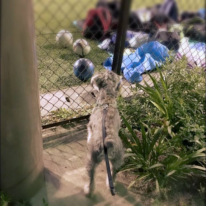 38ed3009 11f8 468e 87be 5fd5db6aa1af