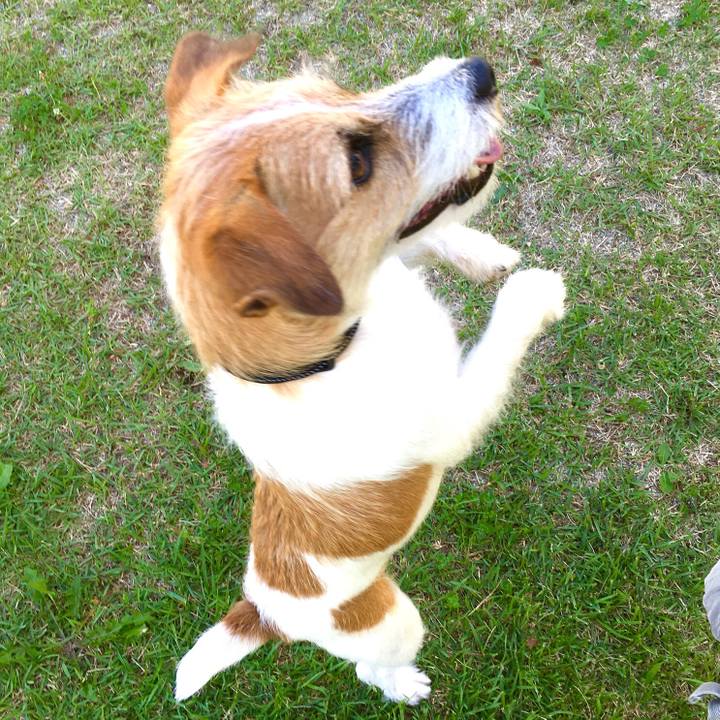 38ed5f55 cadf 4762 9b0b 4c2c9eb2f29c