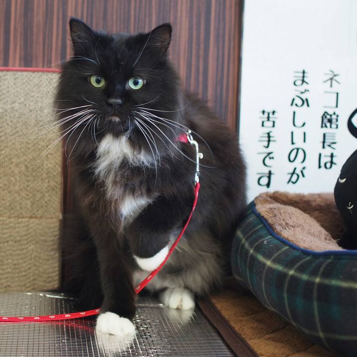 38ed604f cf49 4fef bce2 98ed8921cacc