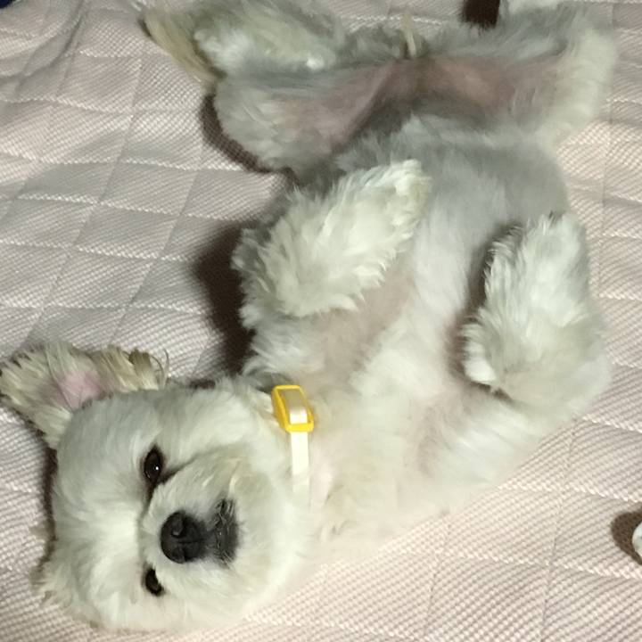 38eda461 e268 426d 901a f7e540b248b8