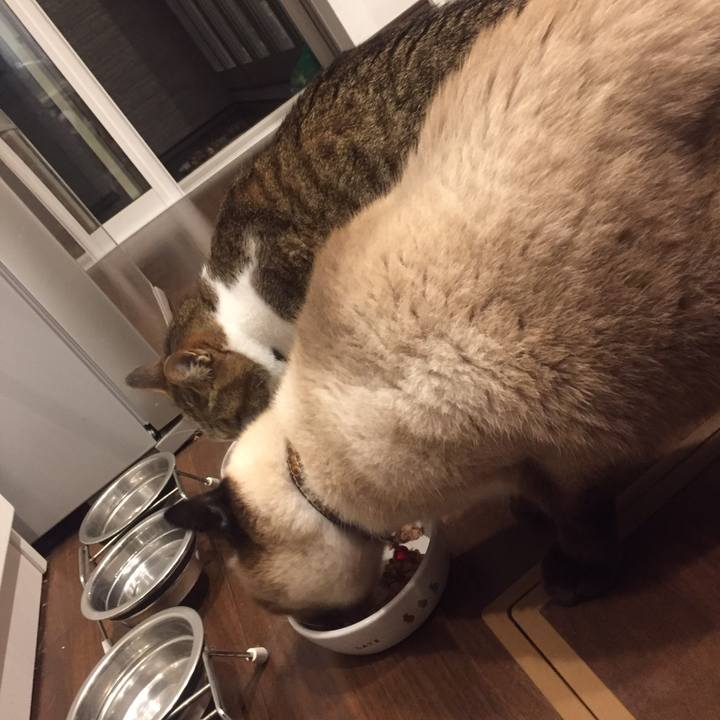 38edce5f 225e 4544 bdfb 8aec4b628855