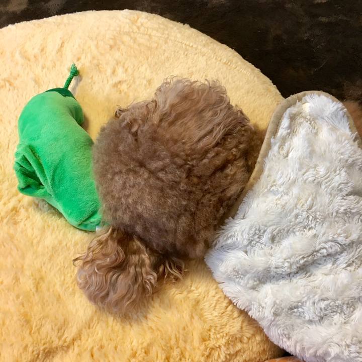 38edefdb bc67 4e28 a57c 5b9753e6195f