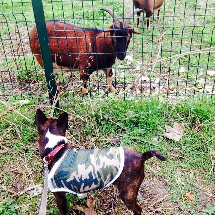 38ee0676 55ca 4310 a25a 76fa828d4e3c