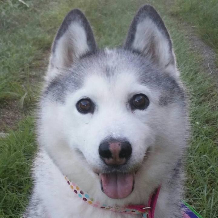 38ee5a66 85d8 427e aca8 ceb7510009a1