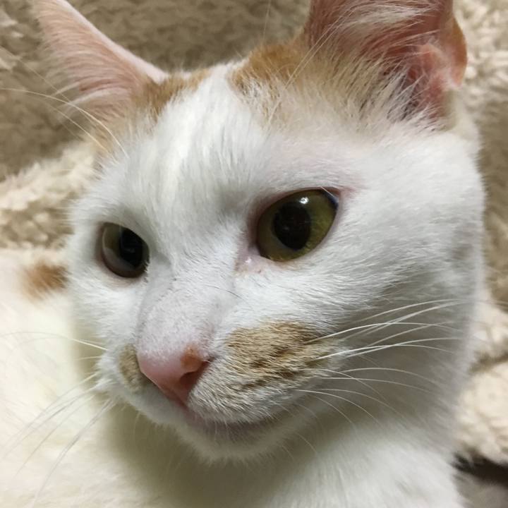 38eec97d e6b6 47a9 8387 6f498bd697d6