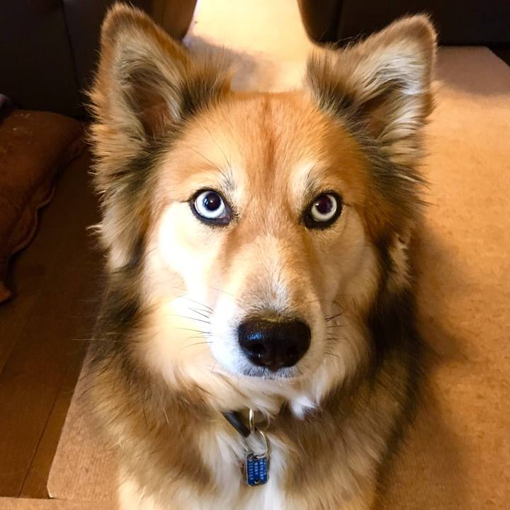 38eeeb18 61f9 43cc 81ae 854672ebc656