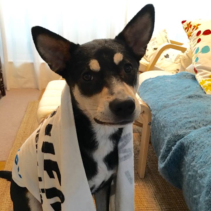 38eff573 11f7 48da 8ab2 c054986abefe