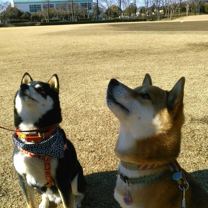 38f0417b bda9 4f5d b699 61f124656ef4