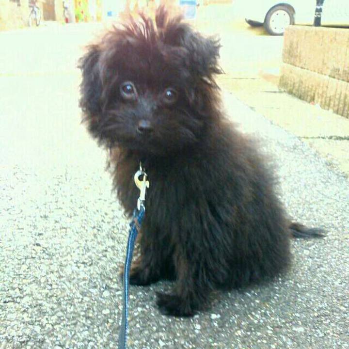 38f09048 0bcb 4451 86bd dfbfe93b7c8c