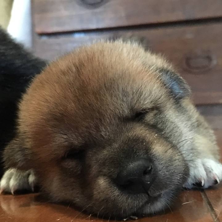 38f0c0ce f9f0 4044 b86c c786ebd9396b