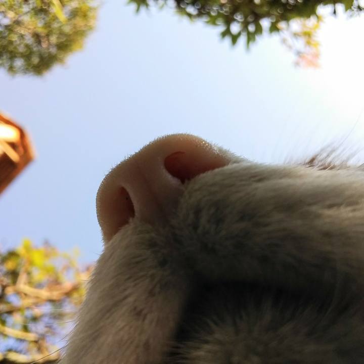 38f144eb 6bdb 4048 8b2a 37879381f861