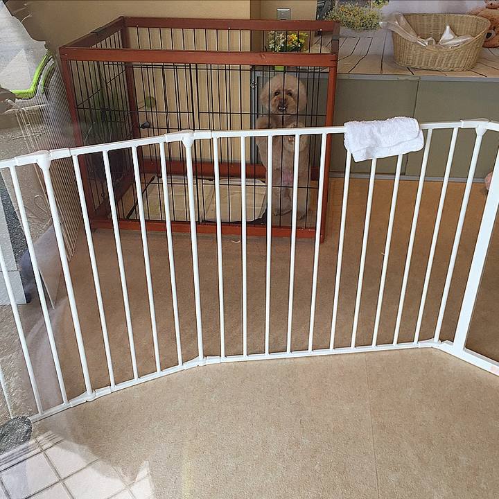 38f16690 7bc1 4d5d bea4 2ddef0080596