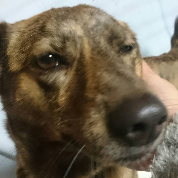 38f18a5f e49e 4571 8861 8e4fce9c68f0