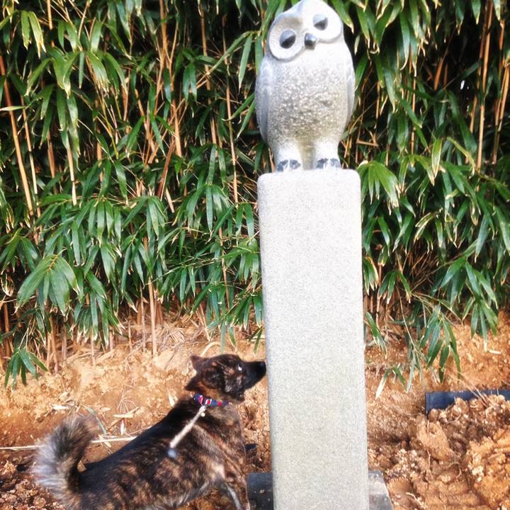 38f1b655 098e 402f 834a 84f5111e8064