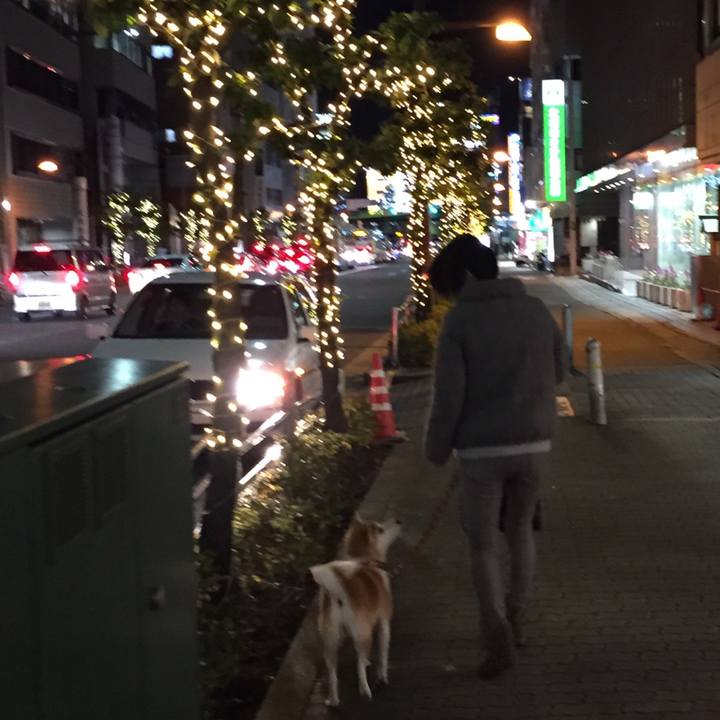 38f1cd94 2ac9 4a22 86a9 c48055057242