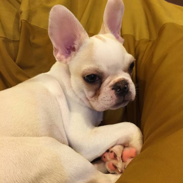 38f20fa7 8322 4a69 8622 e57844cb67ba