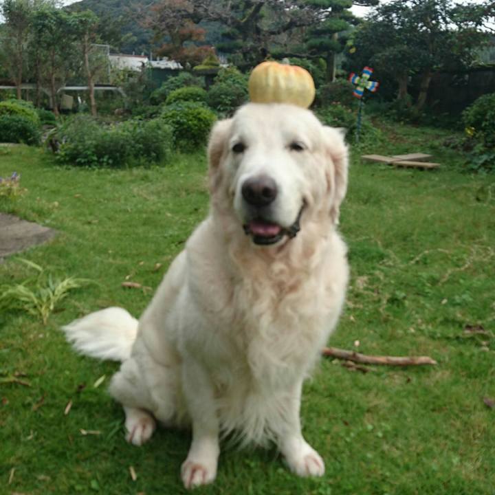 38f3ce41 9378 485e ab82 64be7013569e