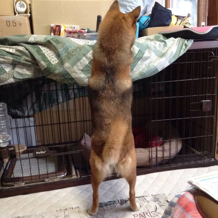 38f493cd 0f6a 4509 8866 c6d5449a26d8